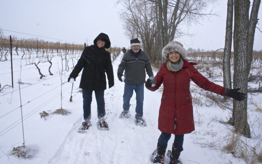 Snowshoeing in the Thirty Bench Vineyard